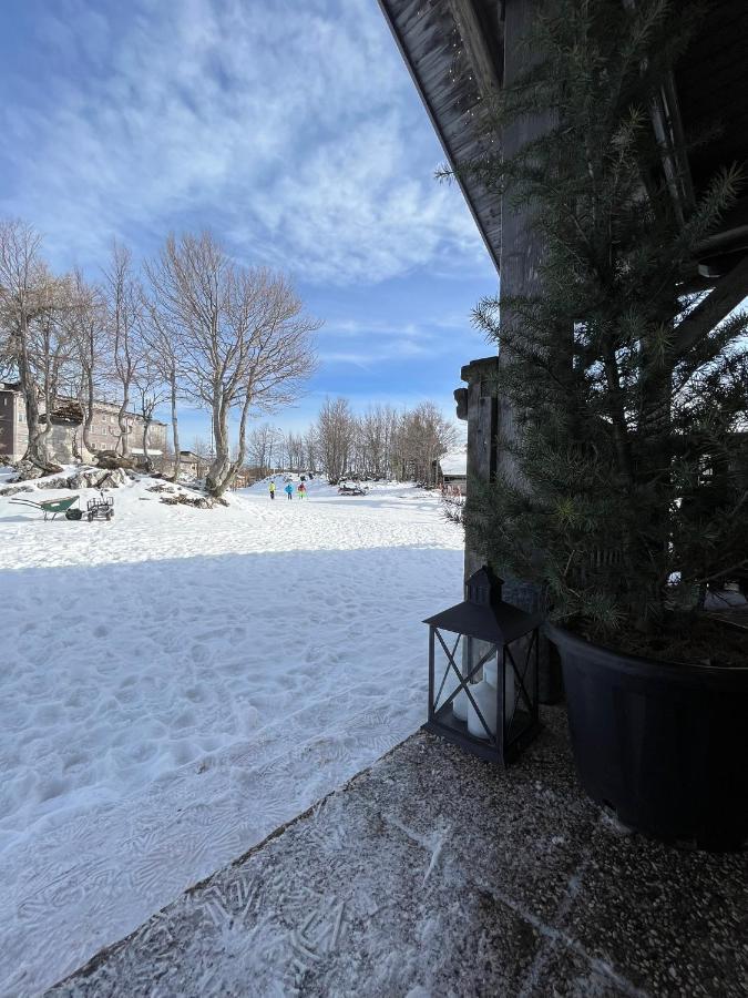 Chalet Burja At Vogel Mountain - Cable Car Access Or Hiking - Not Reachable With Car Bohinj Ngoại thất bức ảnh